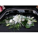Accede para ver diferente arreglos de coche