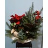 CENTRO NAVIDEÑO CON PLANTA NATURAL
