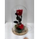 CÚPULA DE CRISTAL CON ROSA-1