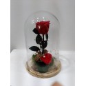 CÚPULA DE CRISTAL PEQUEÑA Y BASE MADERA CON ROSA ETERNA