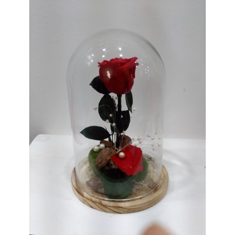 CÚPULA DE CRISTAL CON ROSA