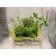 AROMATICA PC
