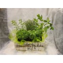 AROMATICA PC